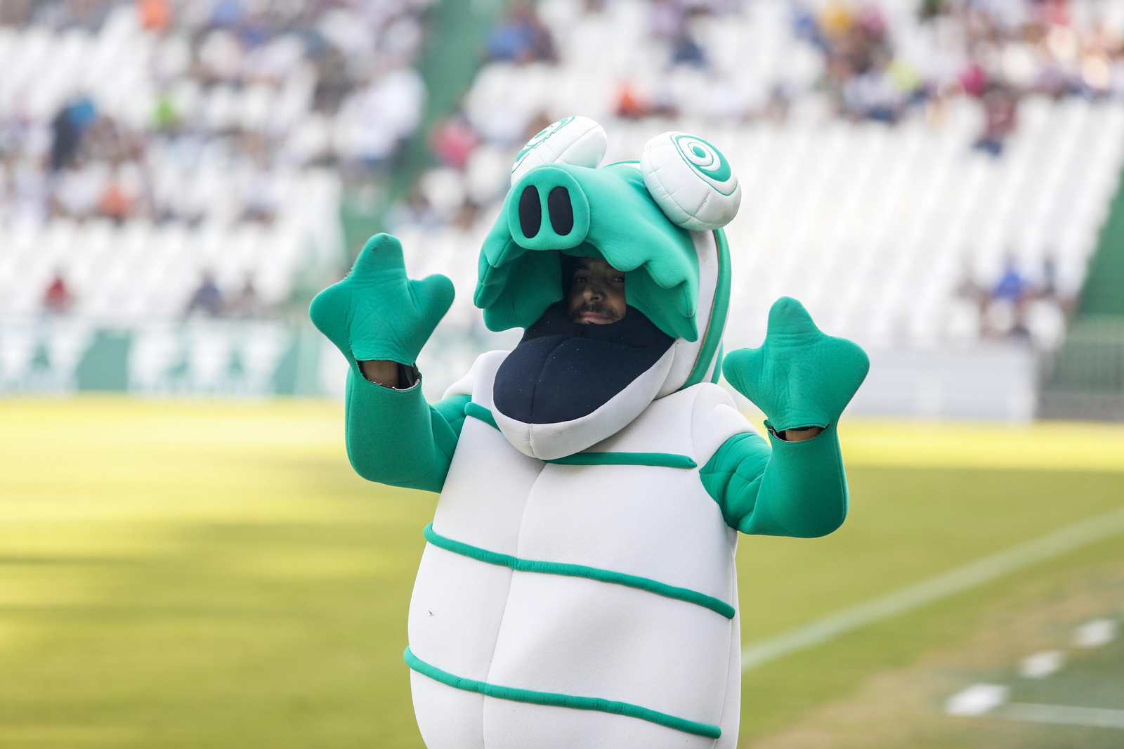 Las imágenes del Córdoba CF - Cádiz B