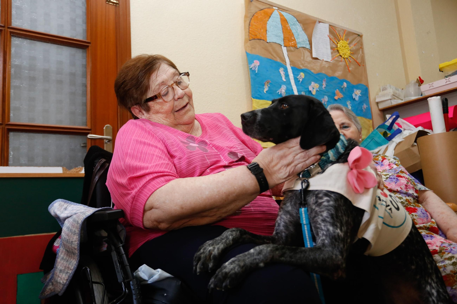 La visita de los perros de la protectora de Los Barrios a la residencia de mayores, en imágenes