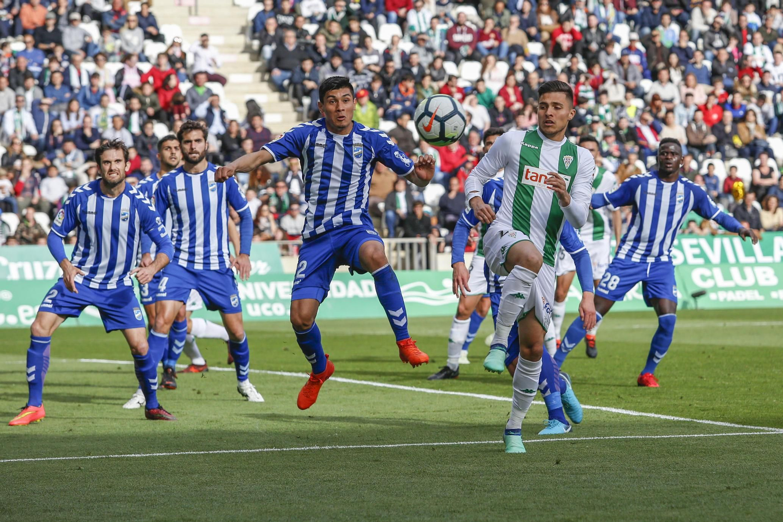 Las imágenes del Córdoba-Lorca