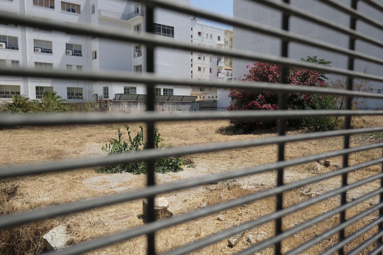 Limpieza en el solar de la Subdelegación