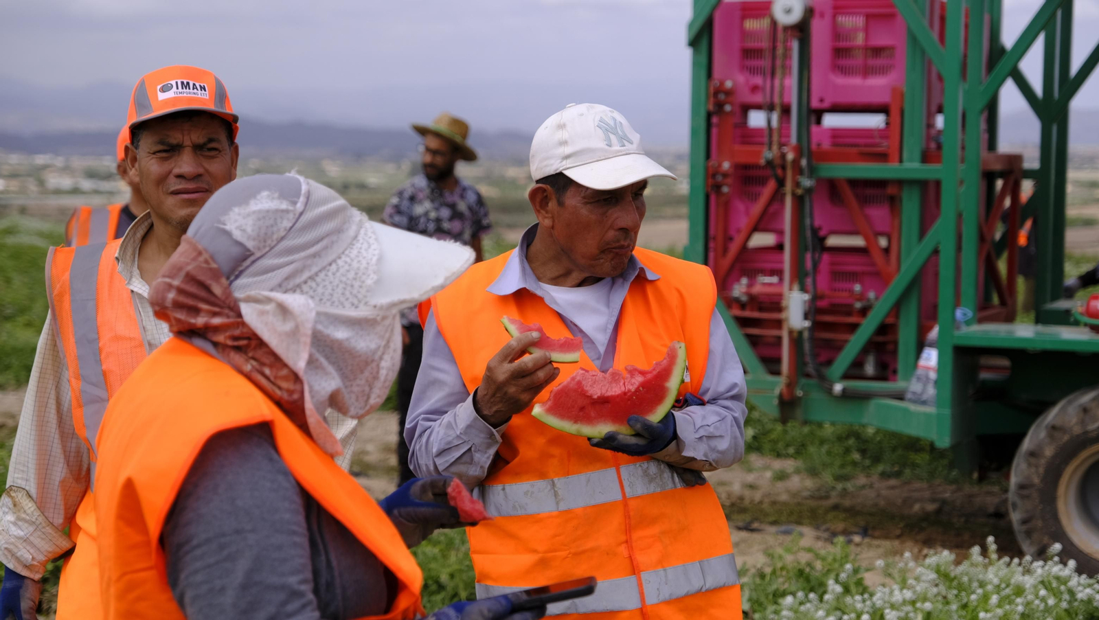 La sandía y el melón de Huércal Overa, manjares en imágenes