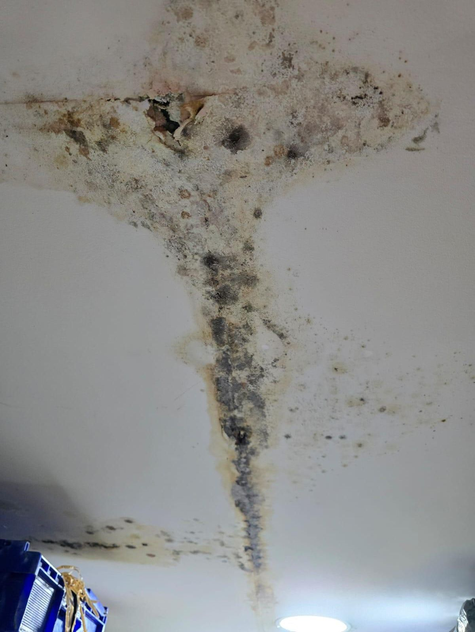 Techo de la sala Soho afectado por las filtraciones de agua que achacan a la piscina de Calachica.