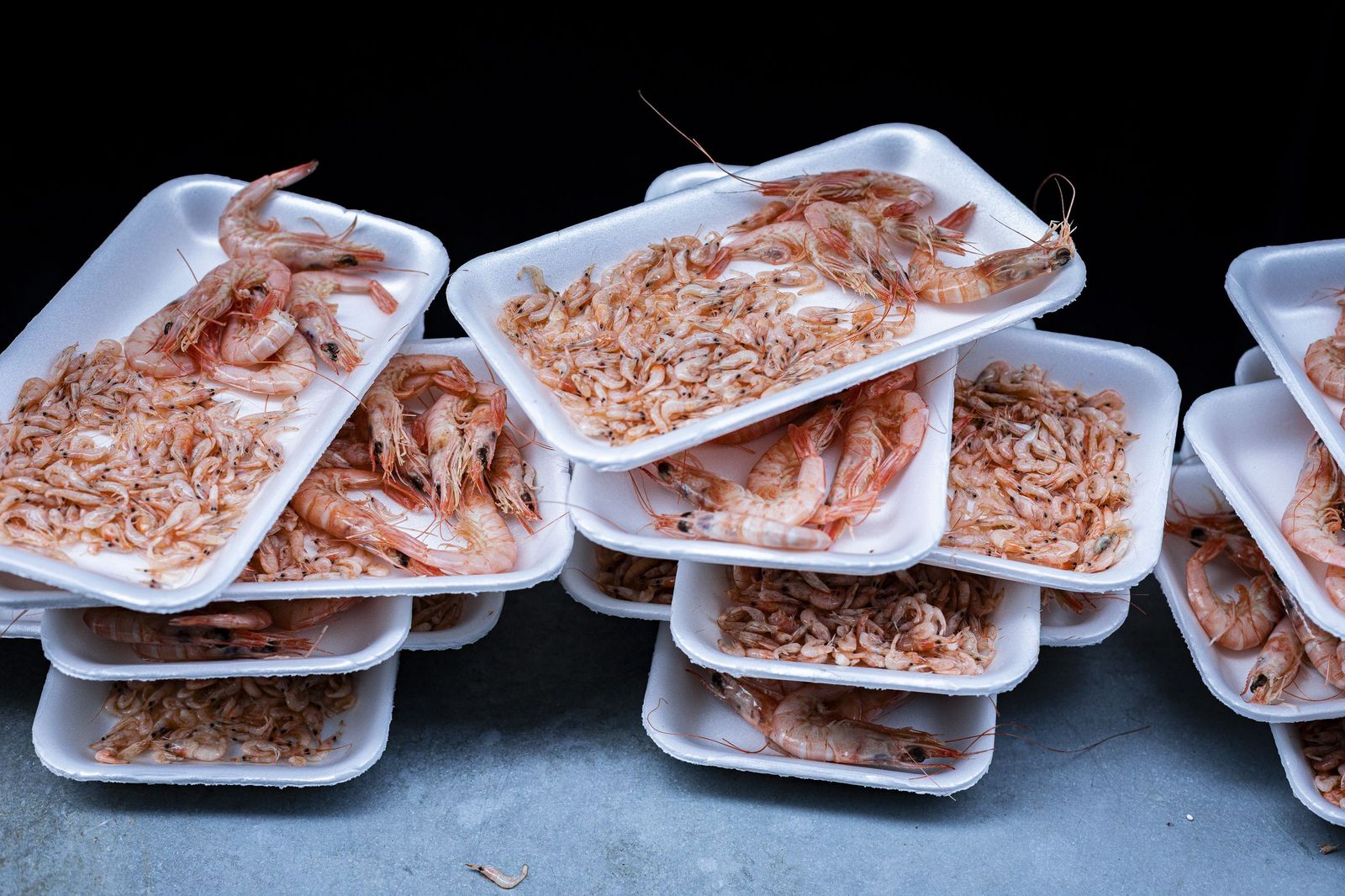 Las imágenes de la erizada popular del Carnaval de Cádiz 2026