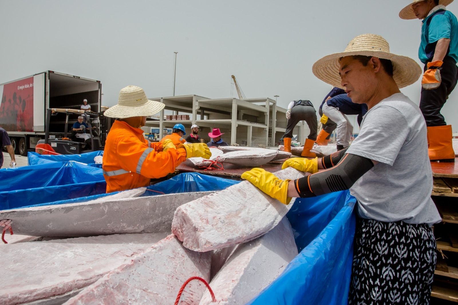 Petaca descarga cinco toneladas de atún de la almadraba de Barbate en la Zona Franca