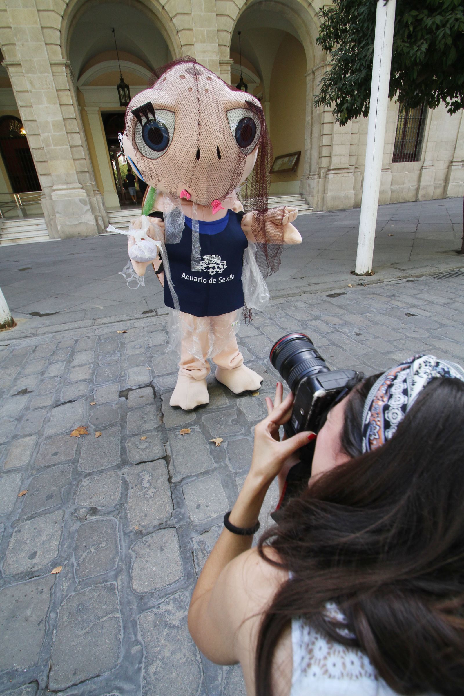 La tortuga Chelo del Acuario de Sevilla da comienzo a una acción de concienciación para difundir la cultura oceánica