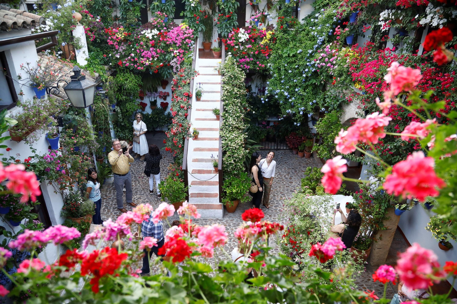 Los ganadores del Concurso de Patios de Córdoba 2023, en imágenes