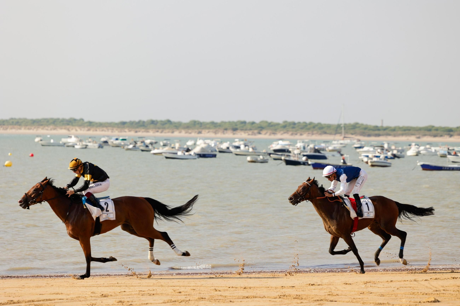 Imagen de la segunda jornada del ciclo final de las Carreras de Caballos de Sanlúcar 2025