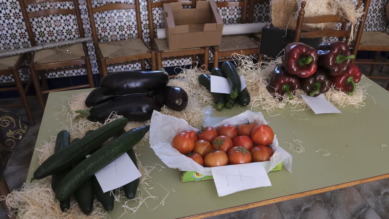 Fotogalería de las Fiestas de San Marcos en Adra.