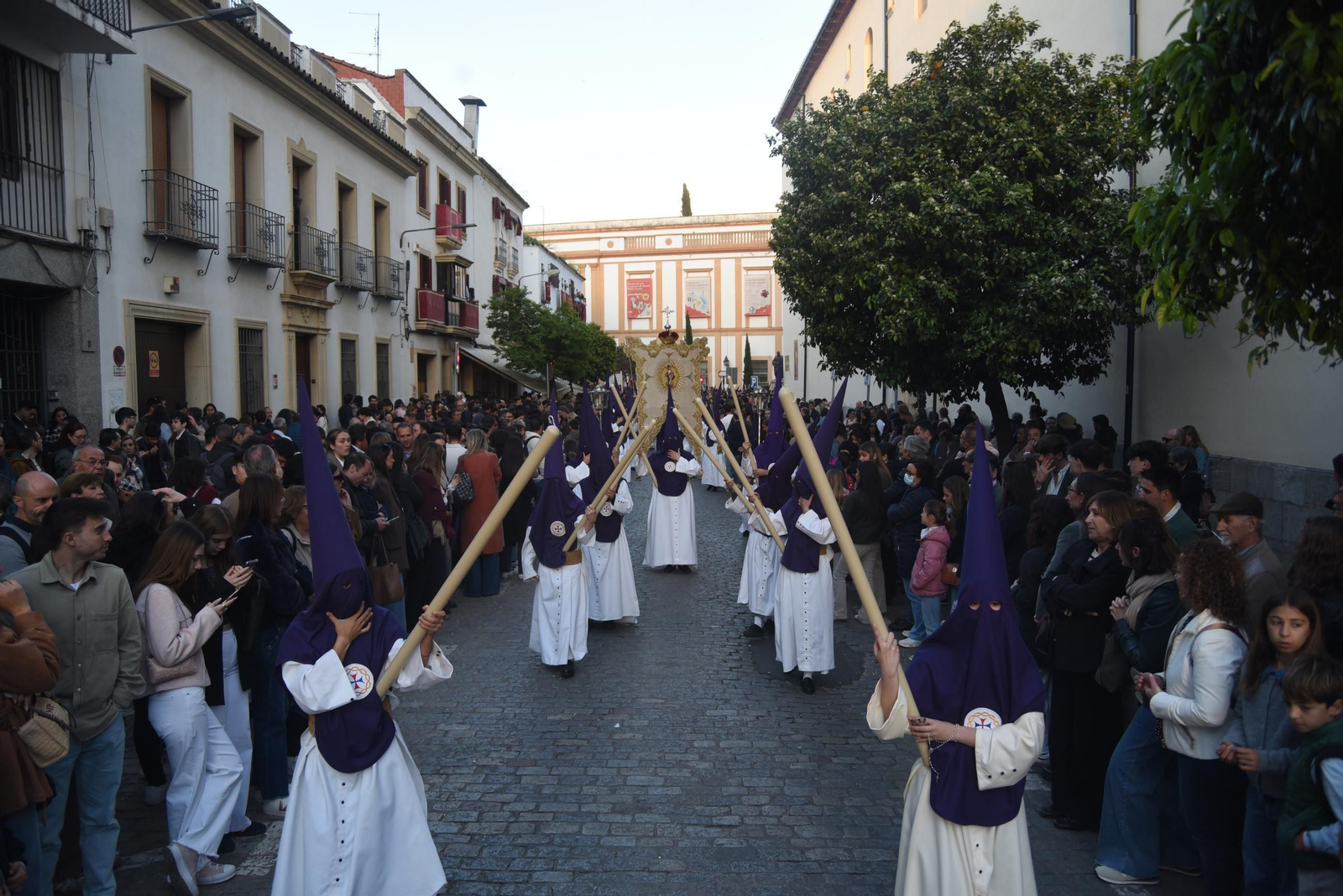 La procesión de la Santa Faz de Córdoba, en imágenes