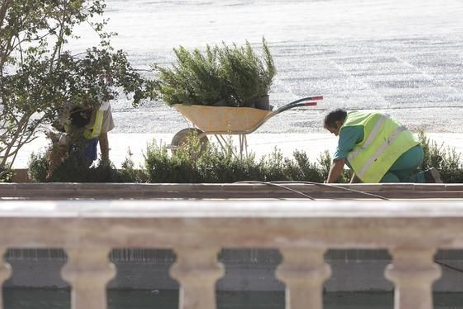 Foto: José Ángel García