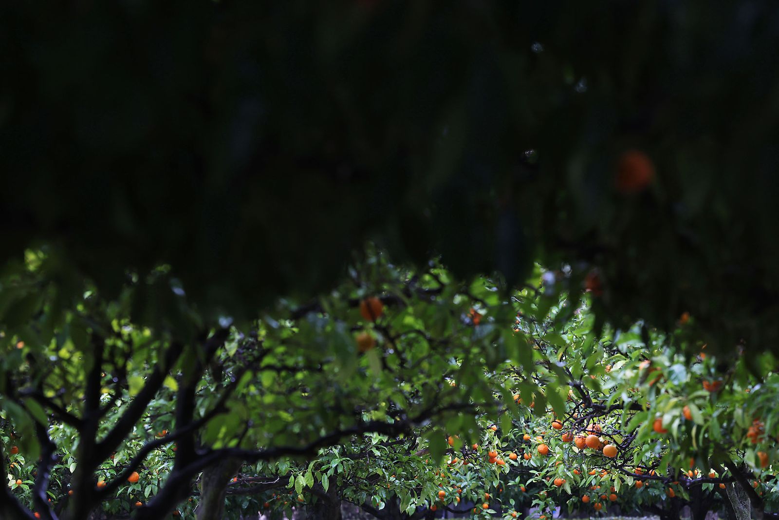 Las imágenes más destacadas del sábado 25 de enero en Huelva