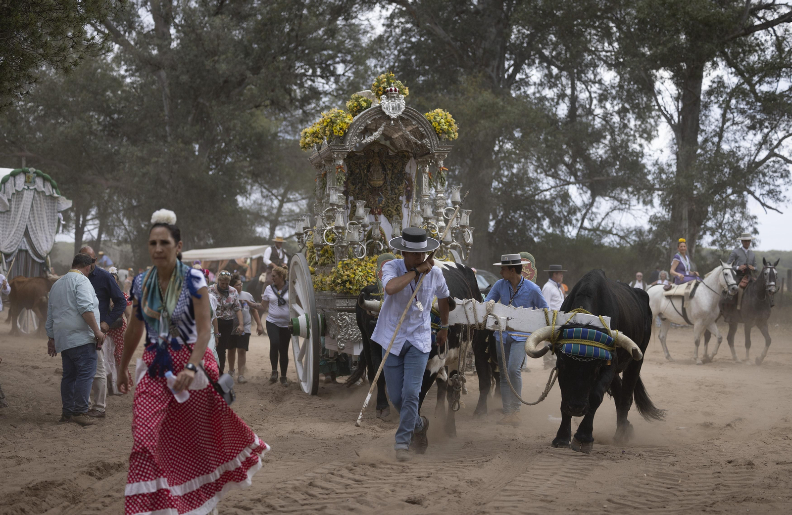 Las hermandades del Rocío en la Raya Real, todas las fotos