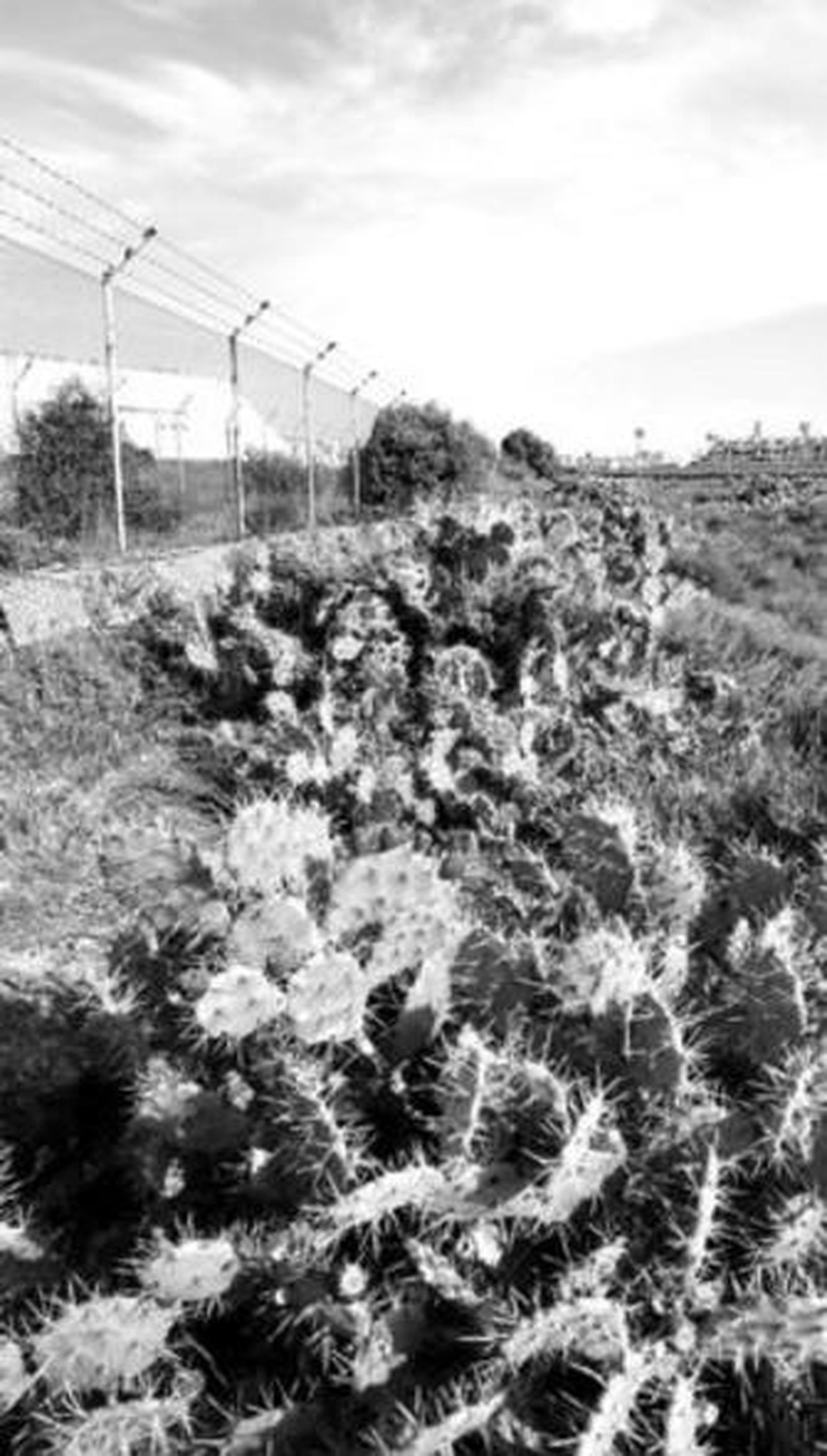 Terrenos a la izquierda de los polvorines de Fadricas.
