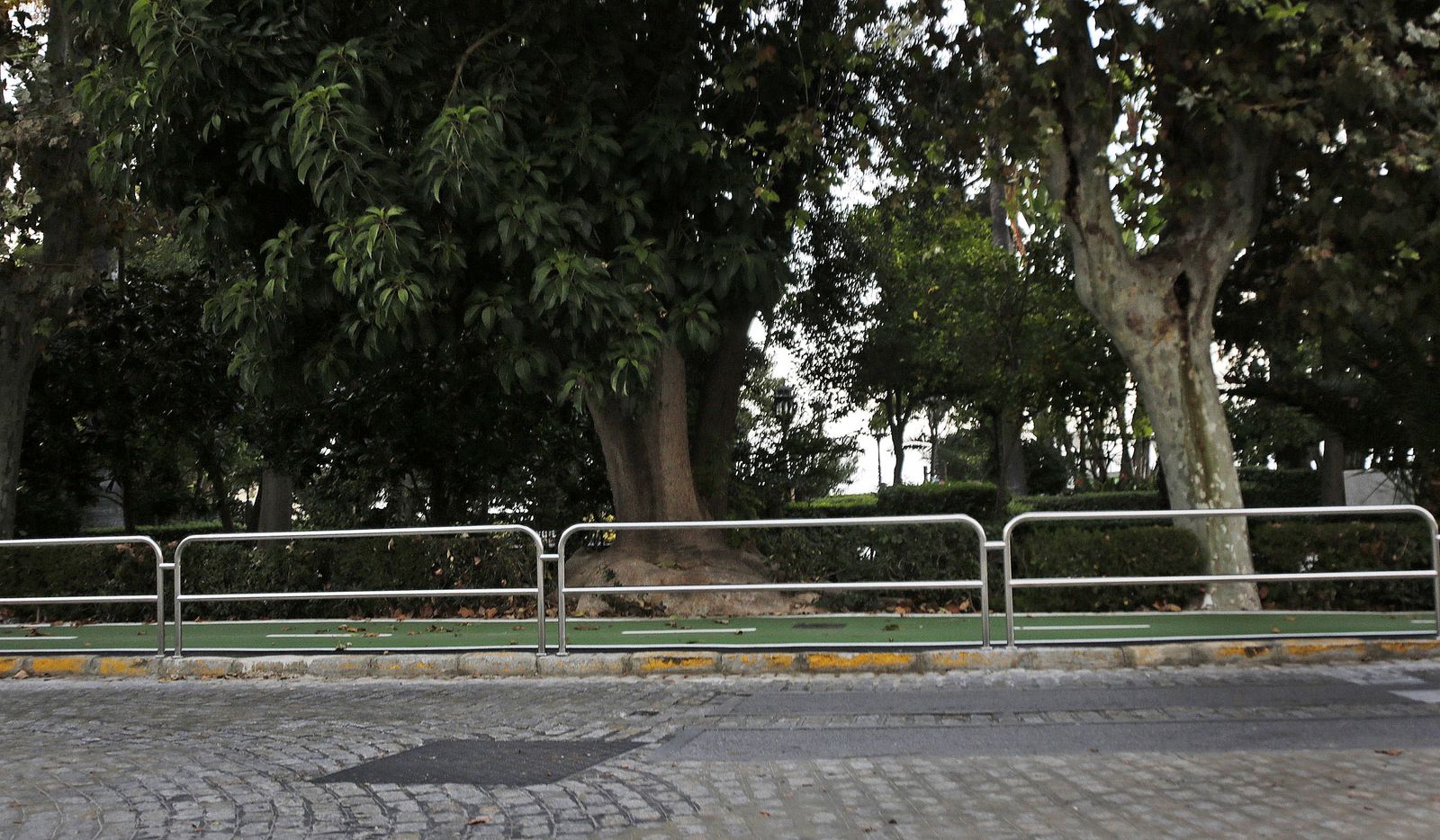 Uno de los lugares donde la Coordinadora propone impartir clases es en la Alameda Apodaca.