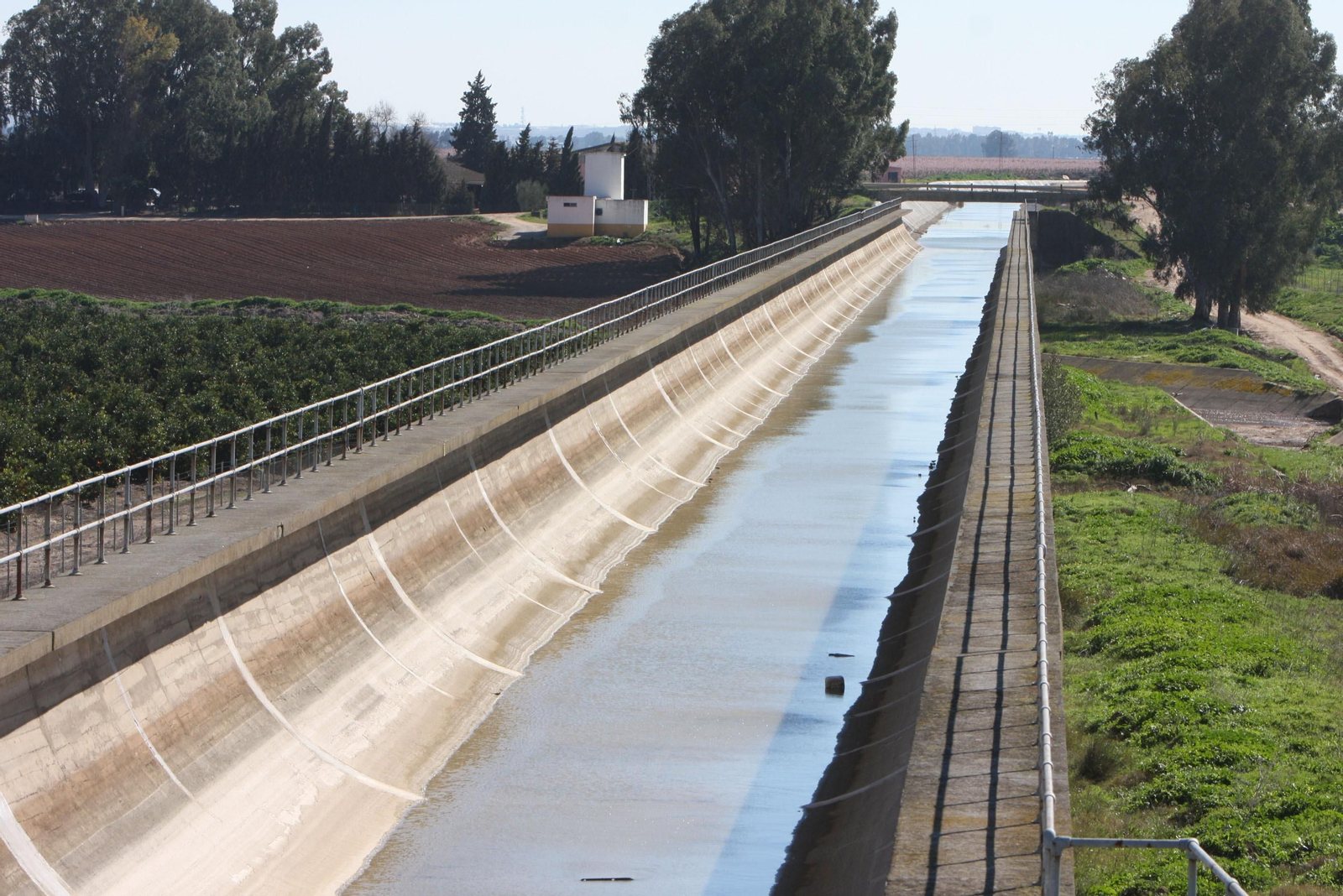 El canal del Bajo Guadalquivir, donde la Confederación Hidrográfica del Guadalquivir acometerá una de las actuaciones de emergencia.