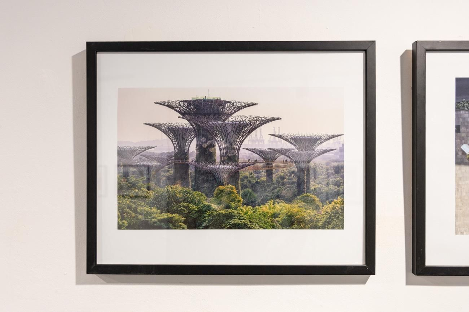 Fotografía para un mundo mejor en la Escuela José Nogué