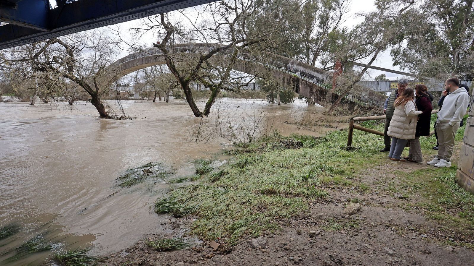 El Guadalete comienza a bajar su nivel poco a poco por la zona rural de Jerez