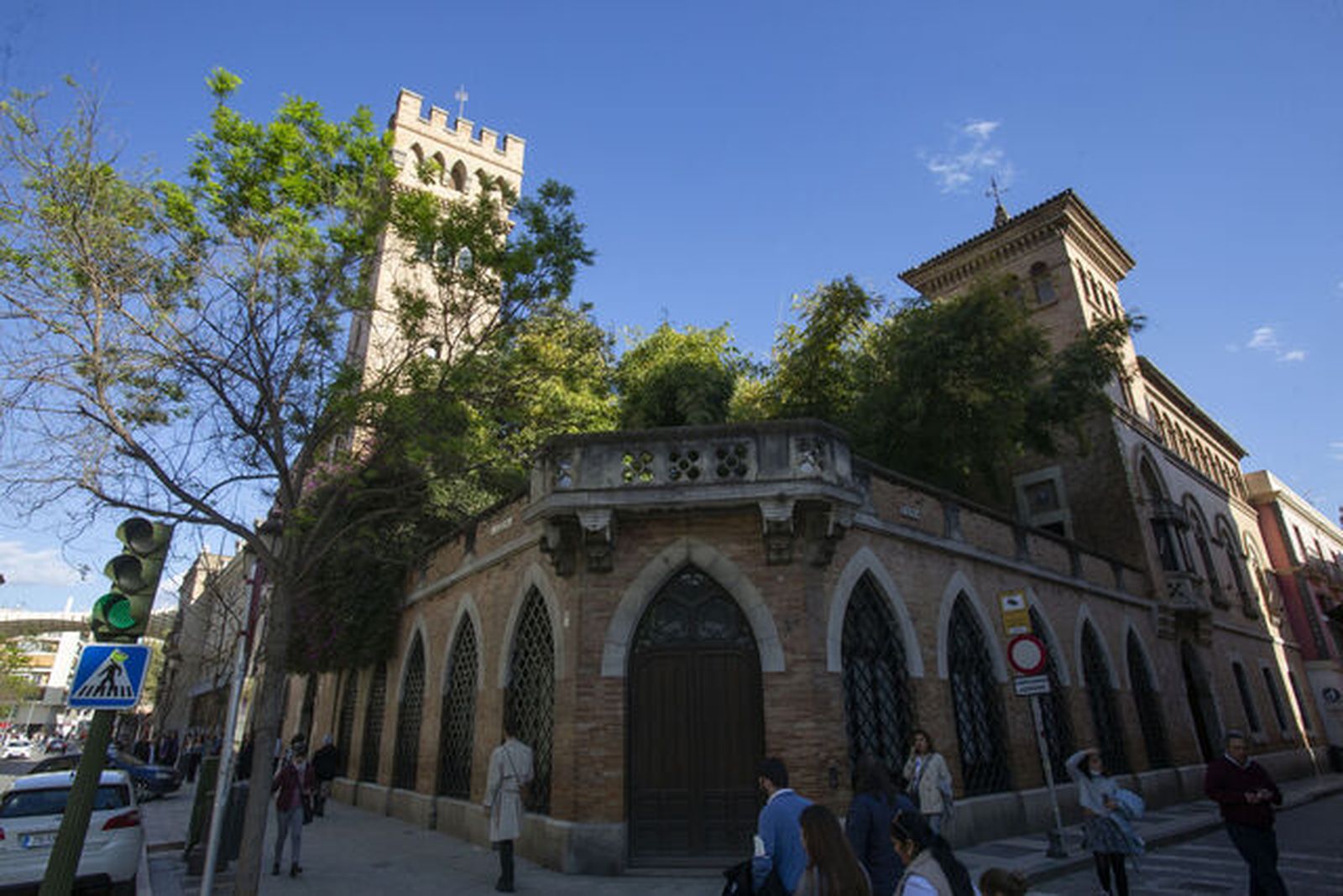 El bambú del Palacio de la Motilla