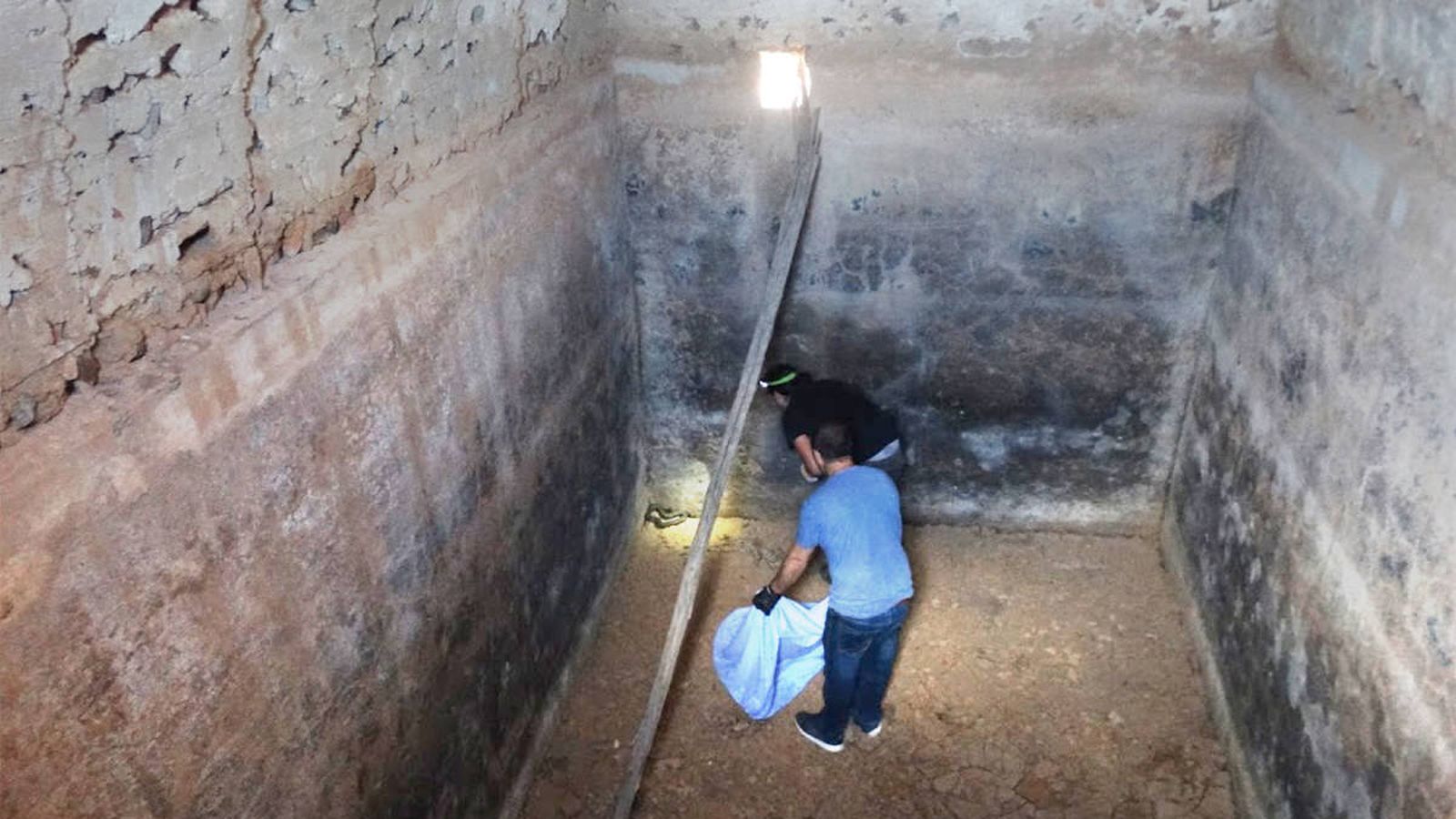 Rescate de una culebra.