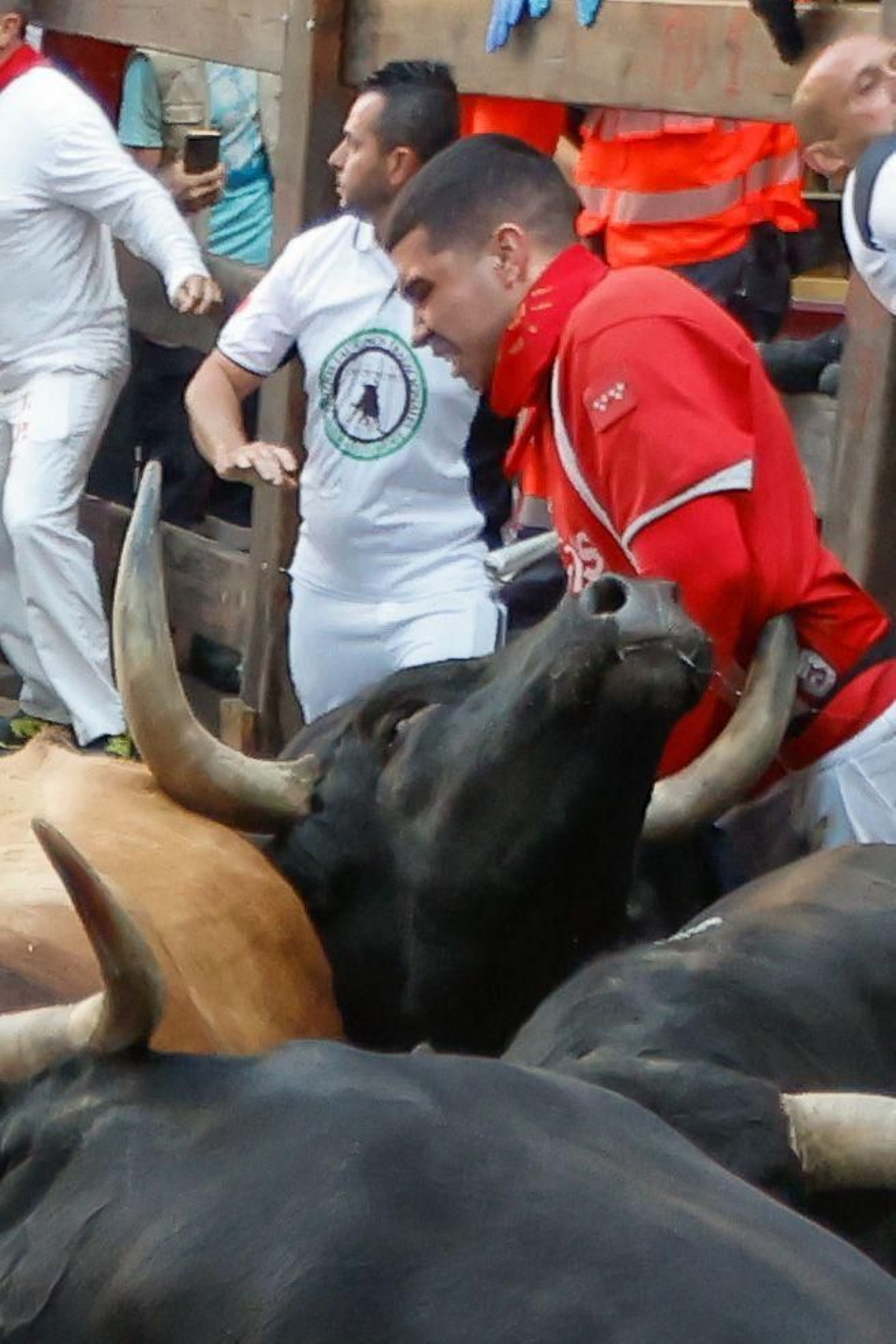 La bravura de Tarifa se hace notar en Pamplona: tres heridos en un encierro con toros de La Palmosilla