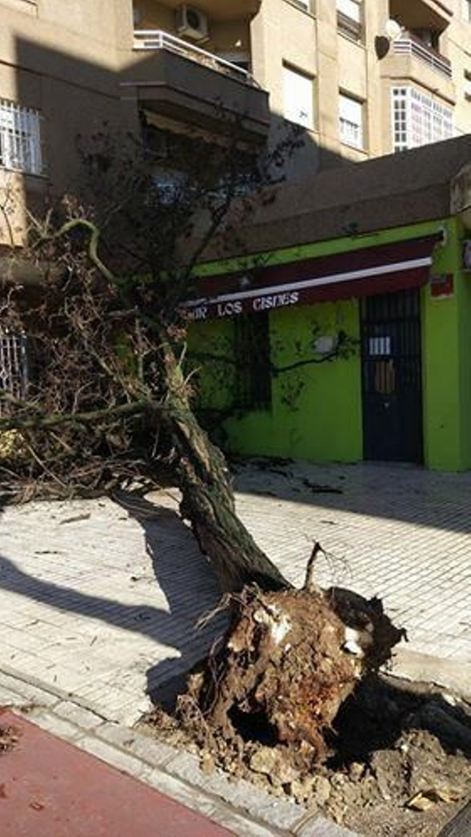 Las imágenes del paso del tornado en Jerez