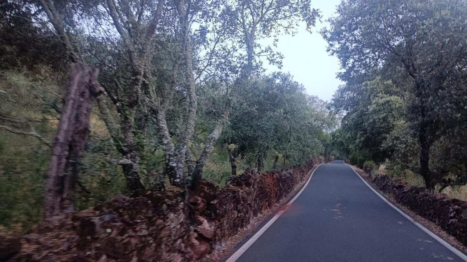 Tramo de carretera hacia Corteconcepción: avanza por dehesa entre los típicos muretes de piedra.