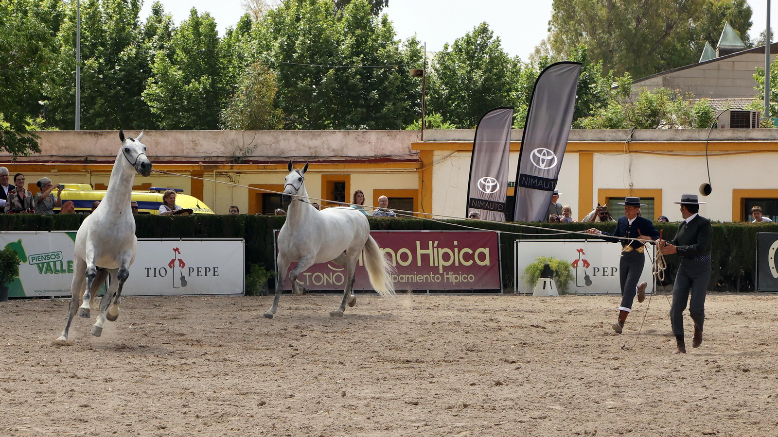 Resumen en imágenes de la Feria del Caballo 2022