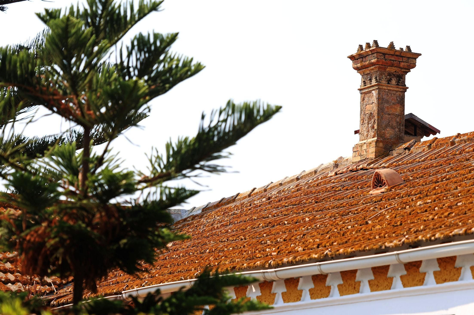 Imágenes del Barrio Reina Victoria, un legado británico en Huelva