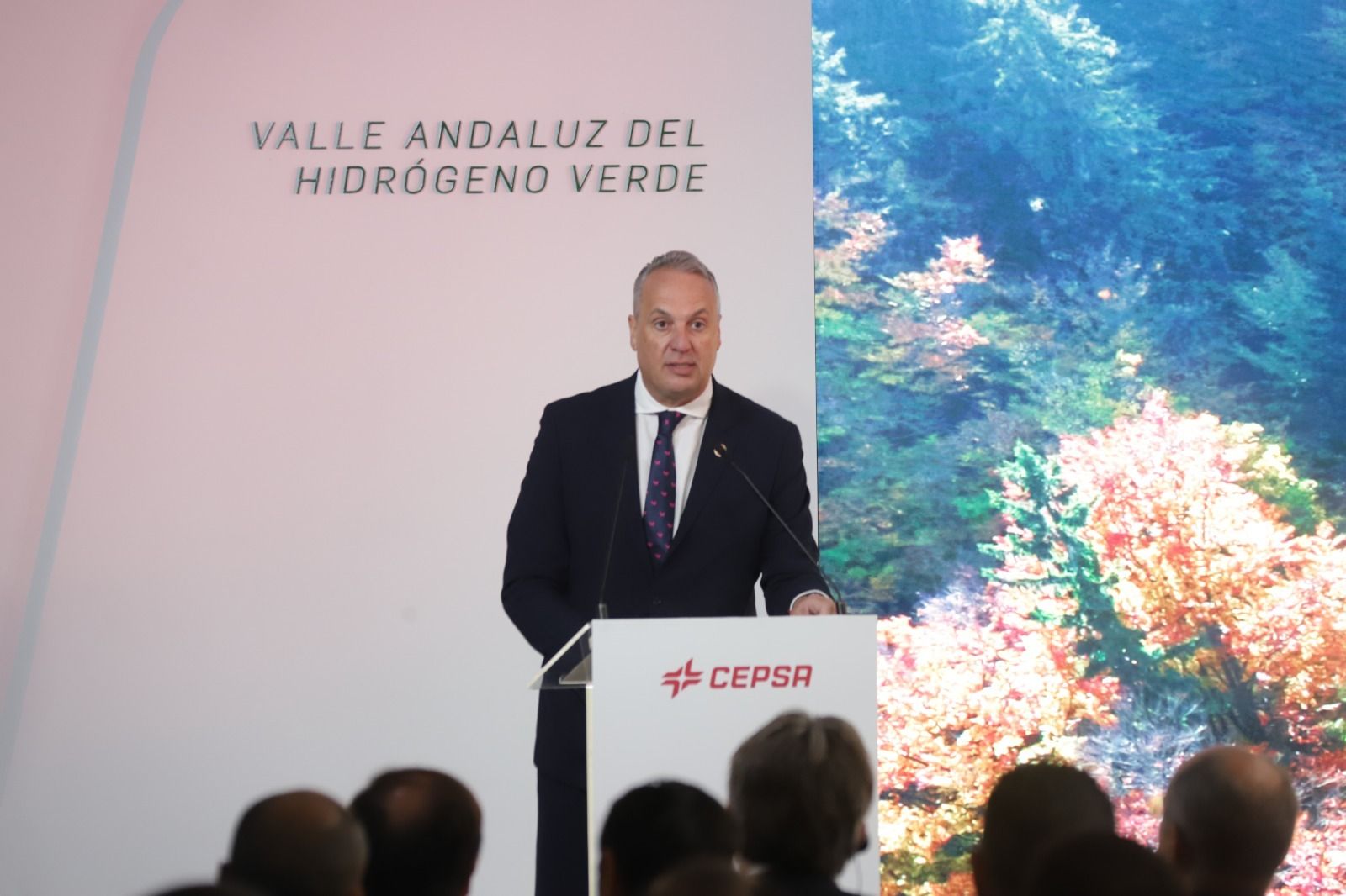 El alcalde de San Roque, Juan Carlos Ruiz Boix.