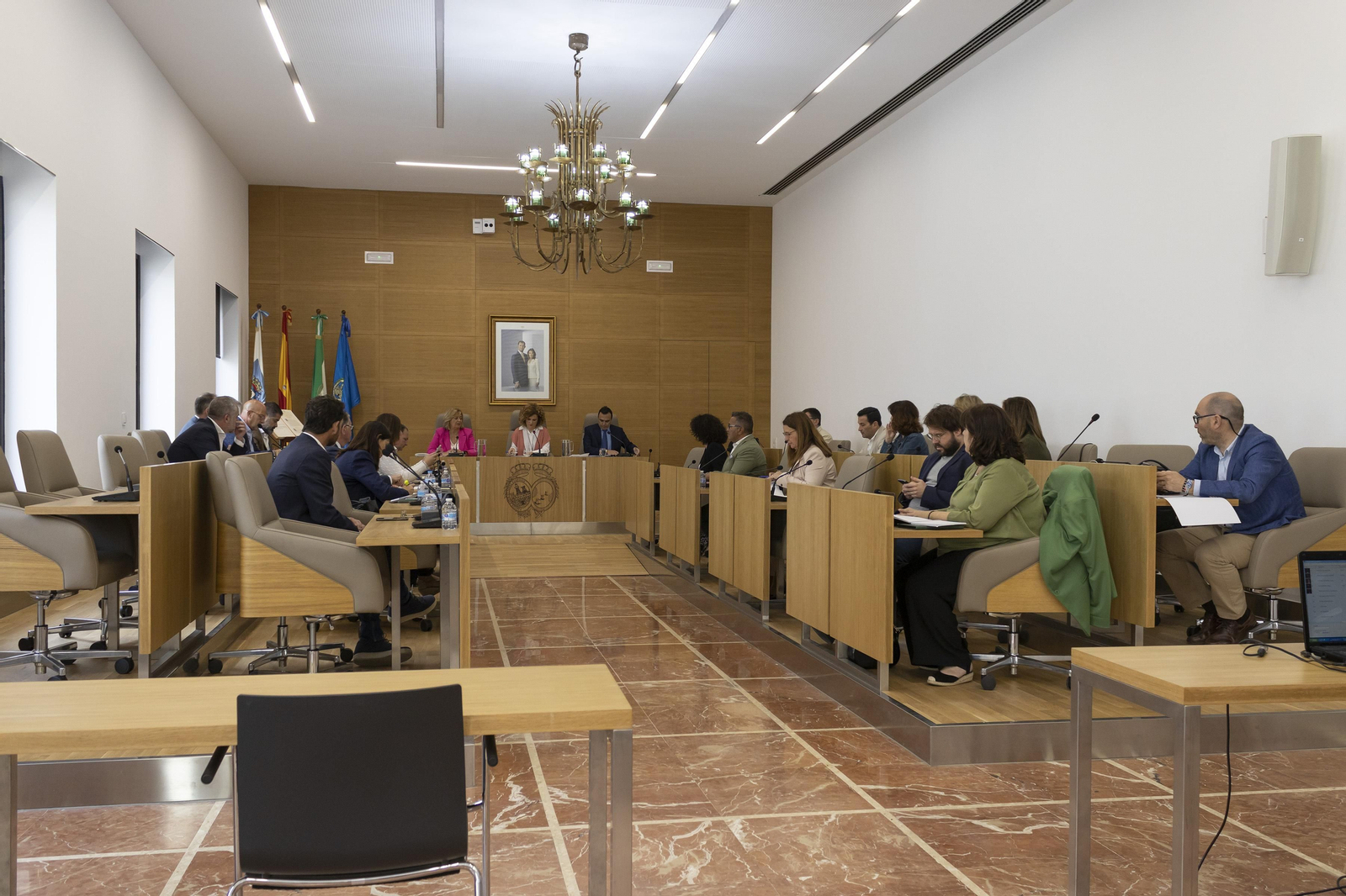 Imágenes del pleno celebrado en la Diputación