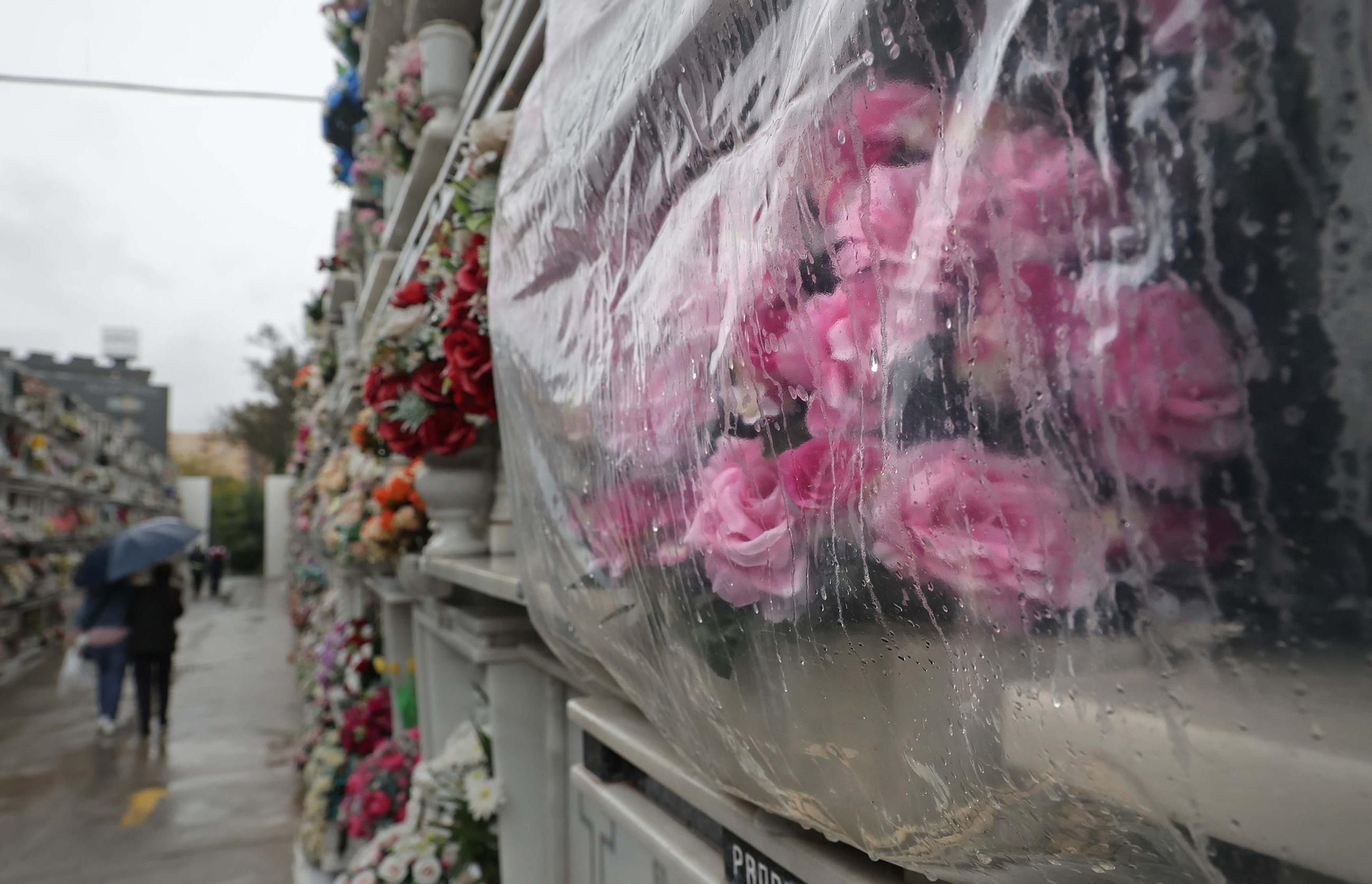 Fotos de los preparativos para Tosantos en el cementerio de Algeciras