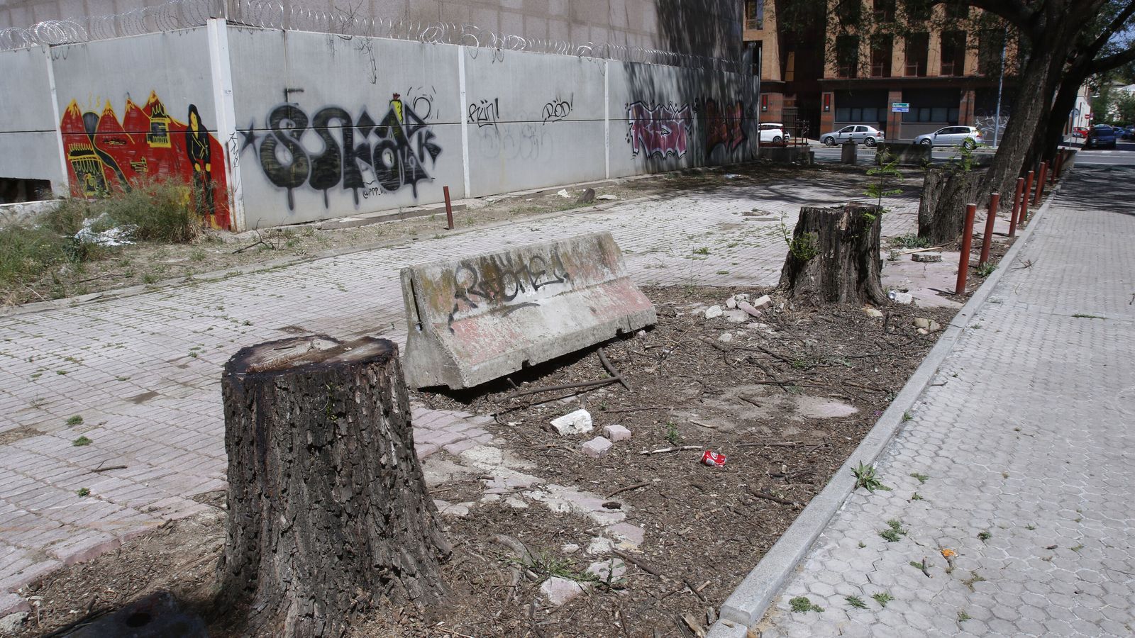 Árboles talados sin licencia de la Gerencia de Urbanismo.