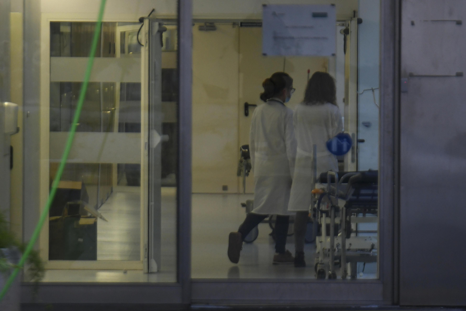 Facultativas del Virgen de las Nieves