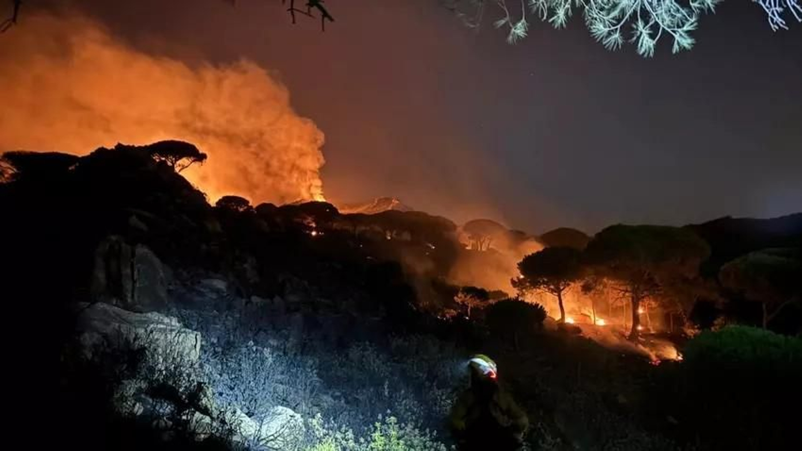 El incendio de Tarifa al filo de la medianoche del martes 5 de agosto 2025