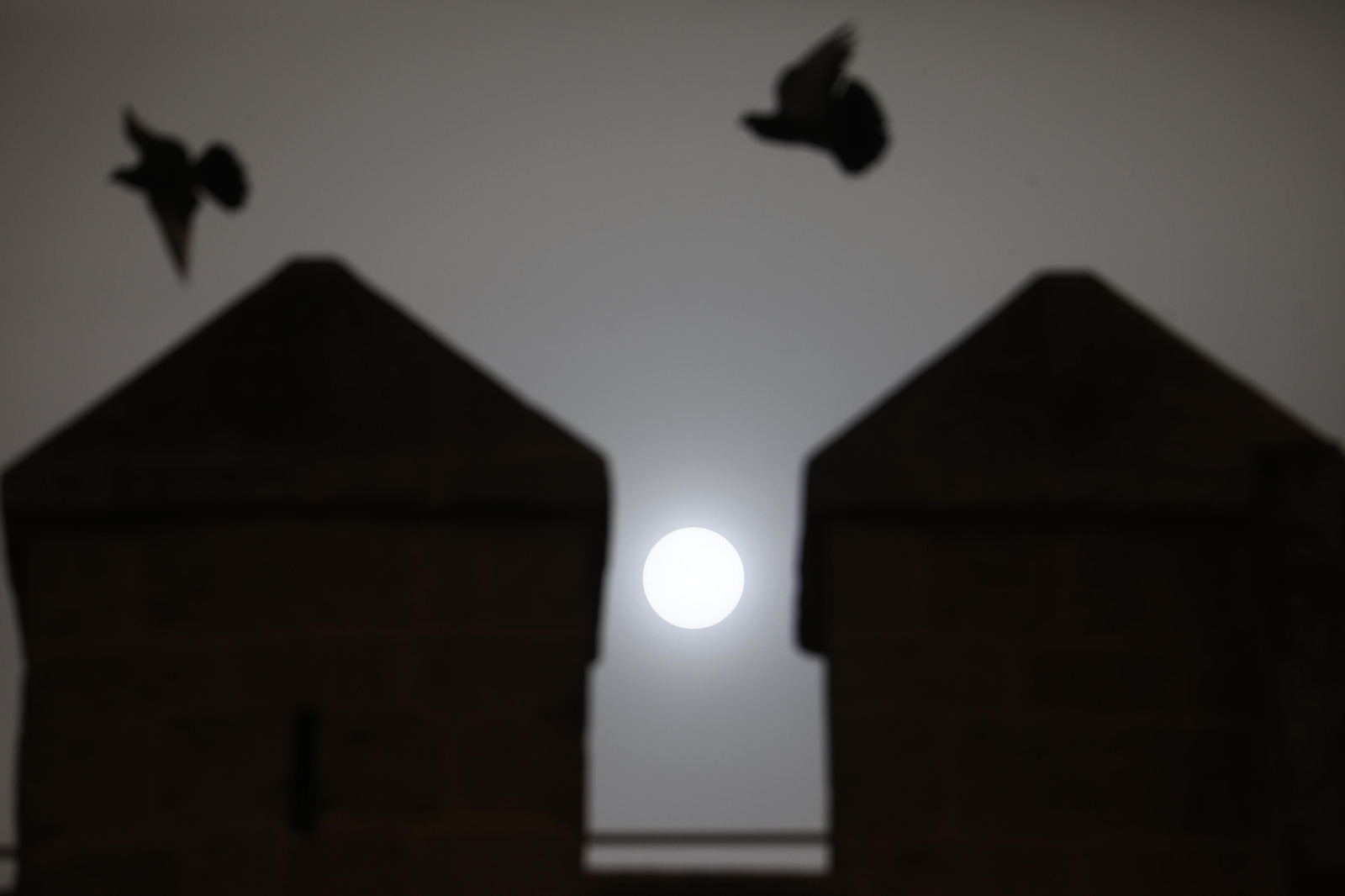 La calima llega a Córdoba, en imágenes