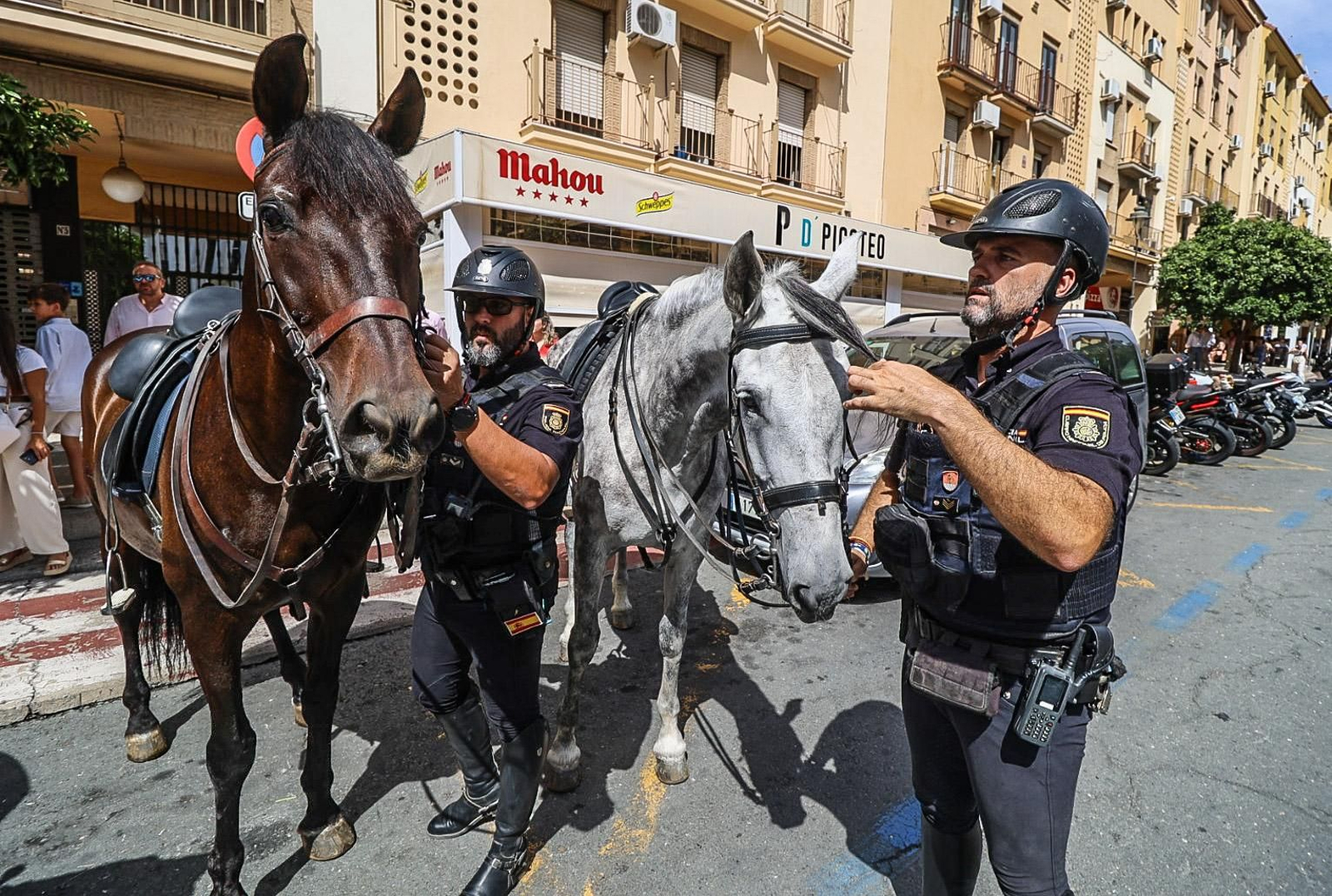 Imágenes del dispositivo de la Caballería de la Policía Nacional para la Magna Mariana