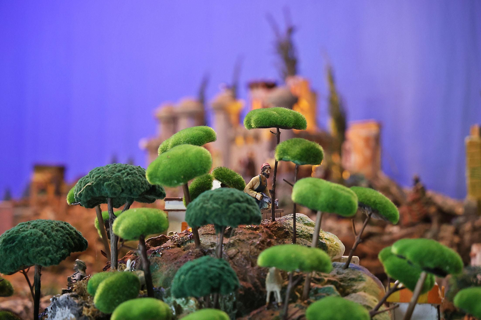 Imágenes del Nacimiento de la Hermandad del Nazareno