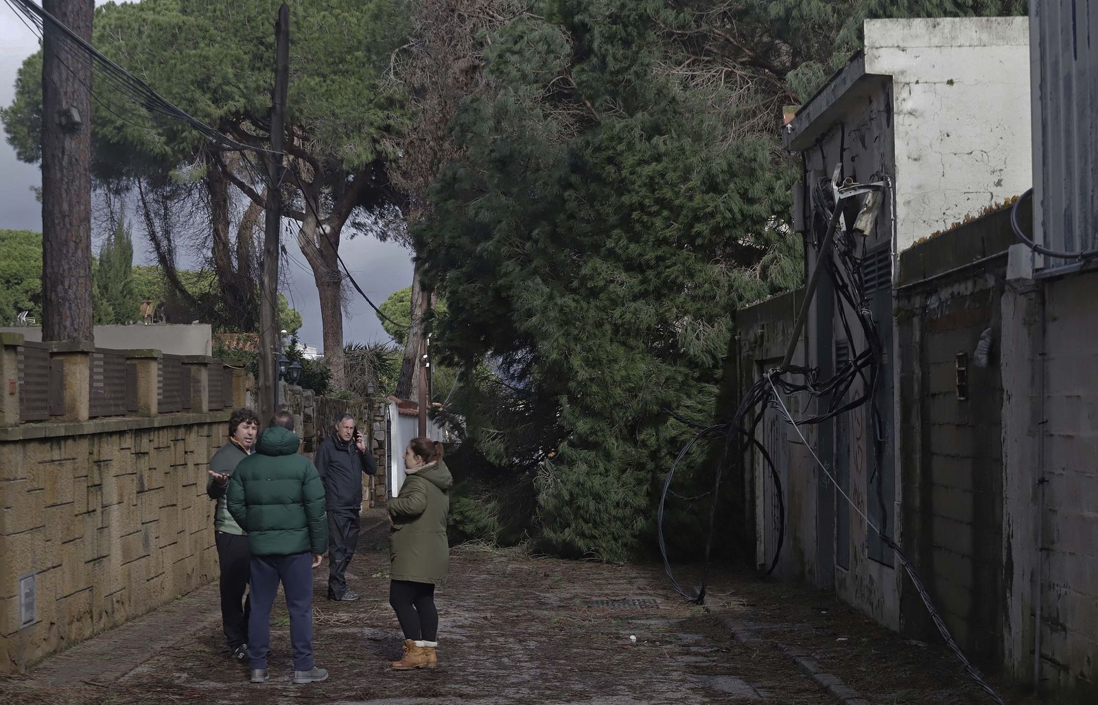 24 horas sin electricidad en la urbanización Los Pinos por árboles caídos tras la borrasca Kristin, en imágenes