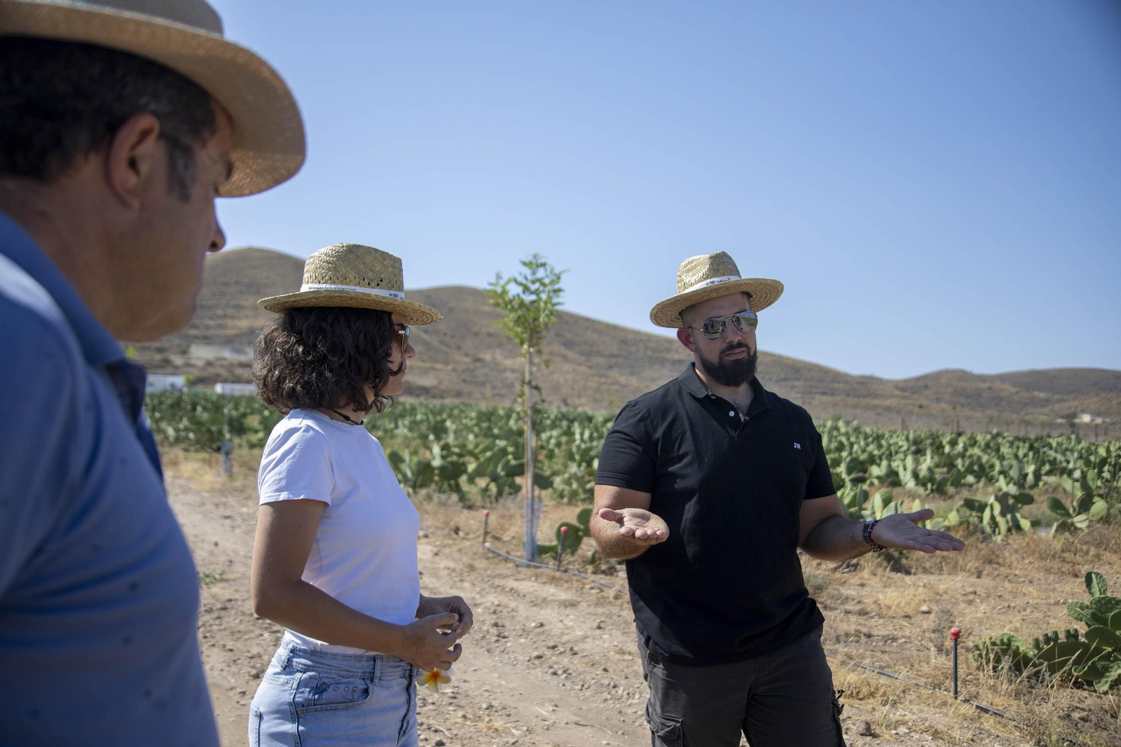 Plantación de chumbos de Níjar
