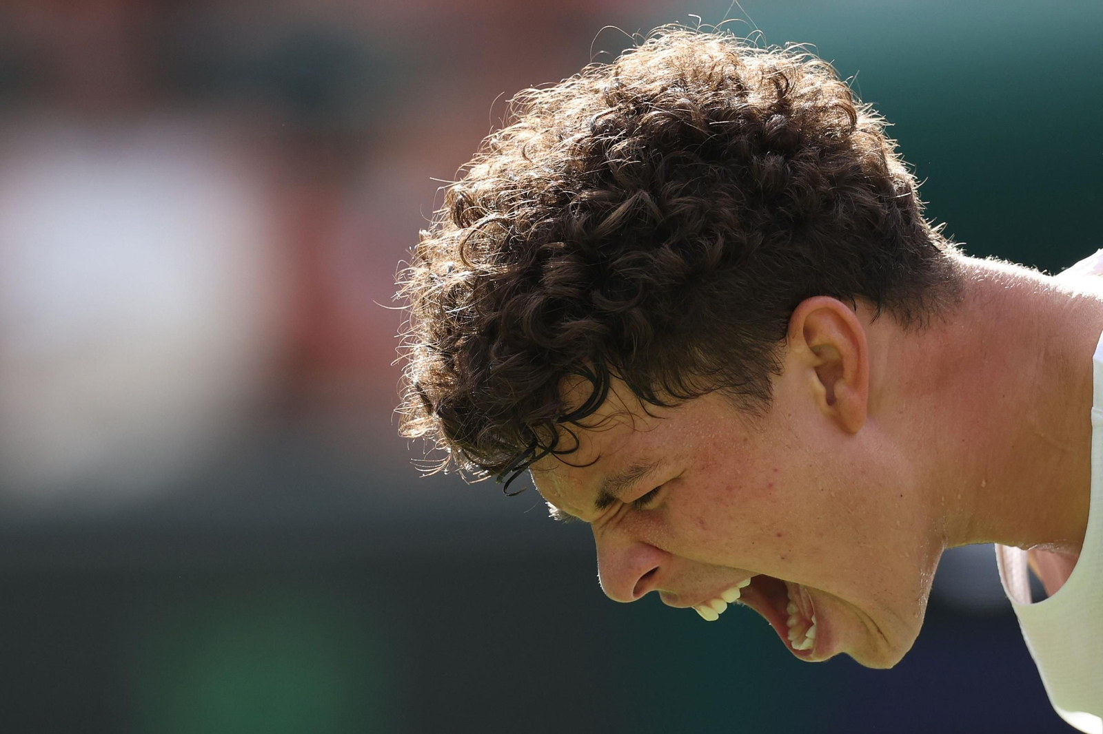 Las fotos de Wimbledon con las clasificaciones de Djokovic y Sinner