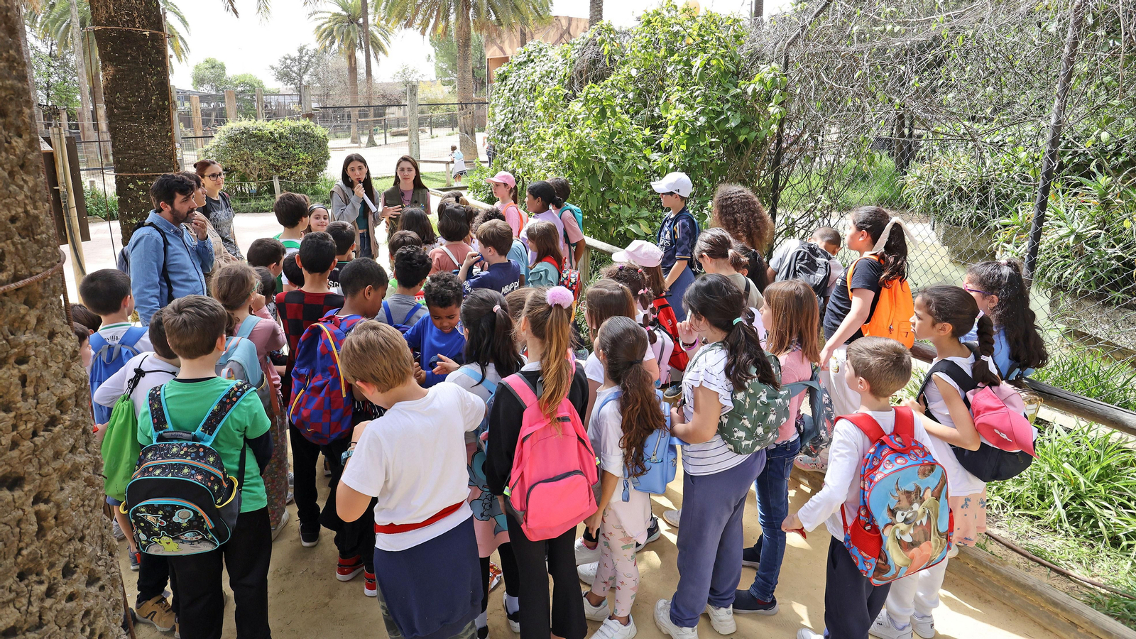 Día Mundial del Agua de Aquajerez y aniversario de Diario de Jerez en el Zoo