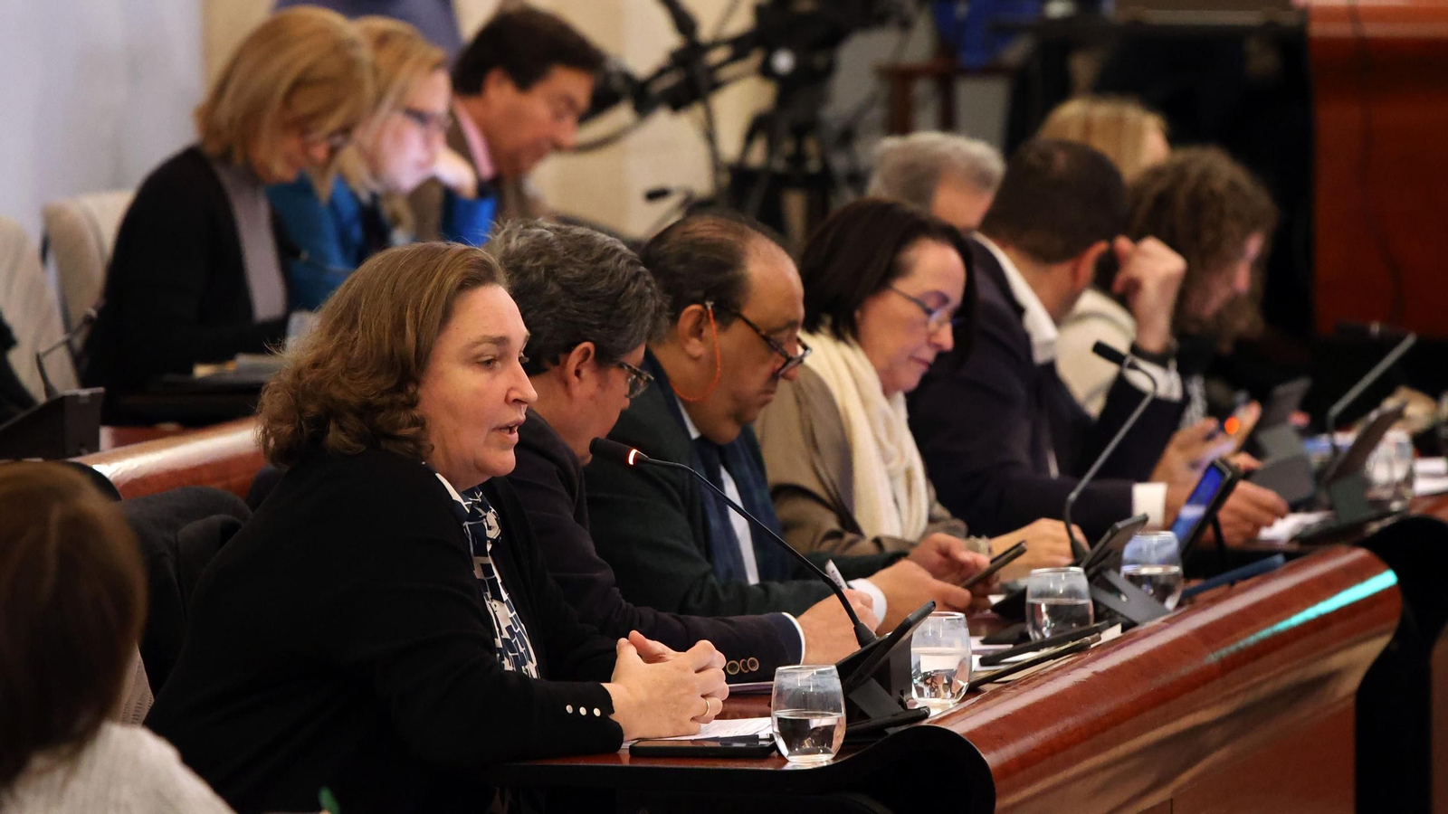 La delegada de Urbanismo, Belén de la Cuadra,  en un pleno del Ayuntamiento de Jerez