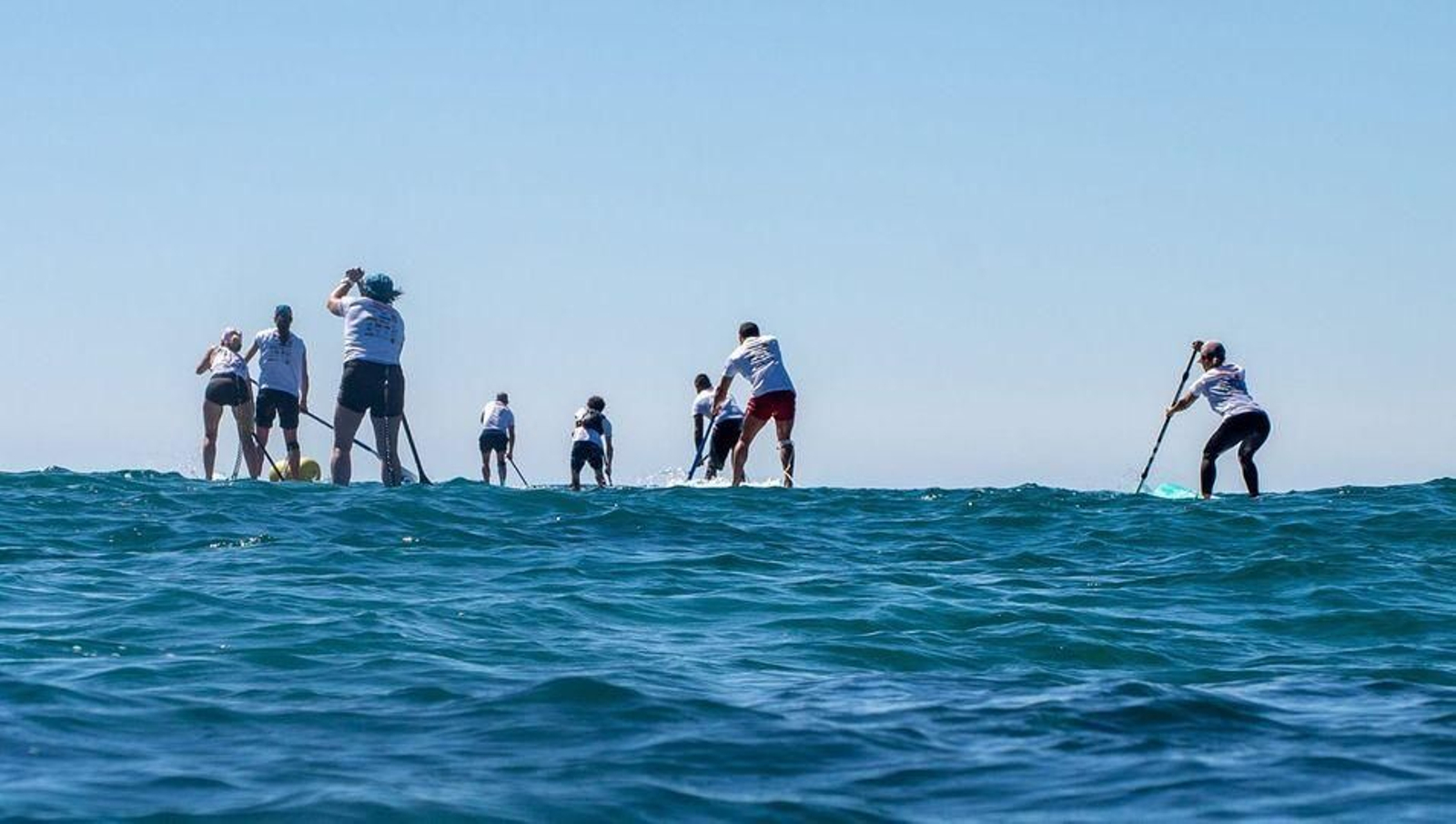 Varias personas practican paddle surf en una playa.