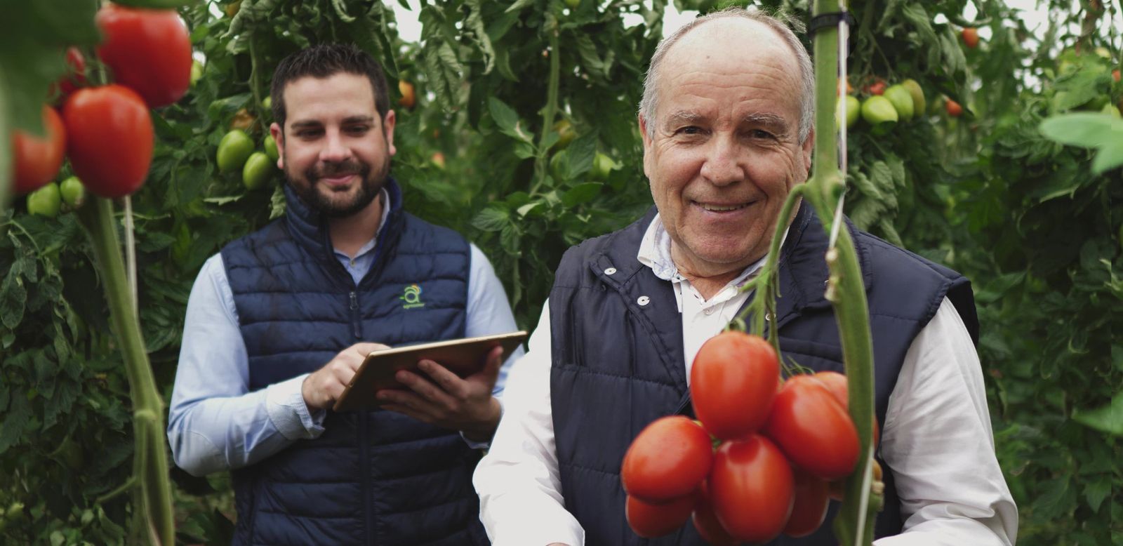 Trabajo de Agrocolor sobre el terreno.