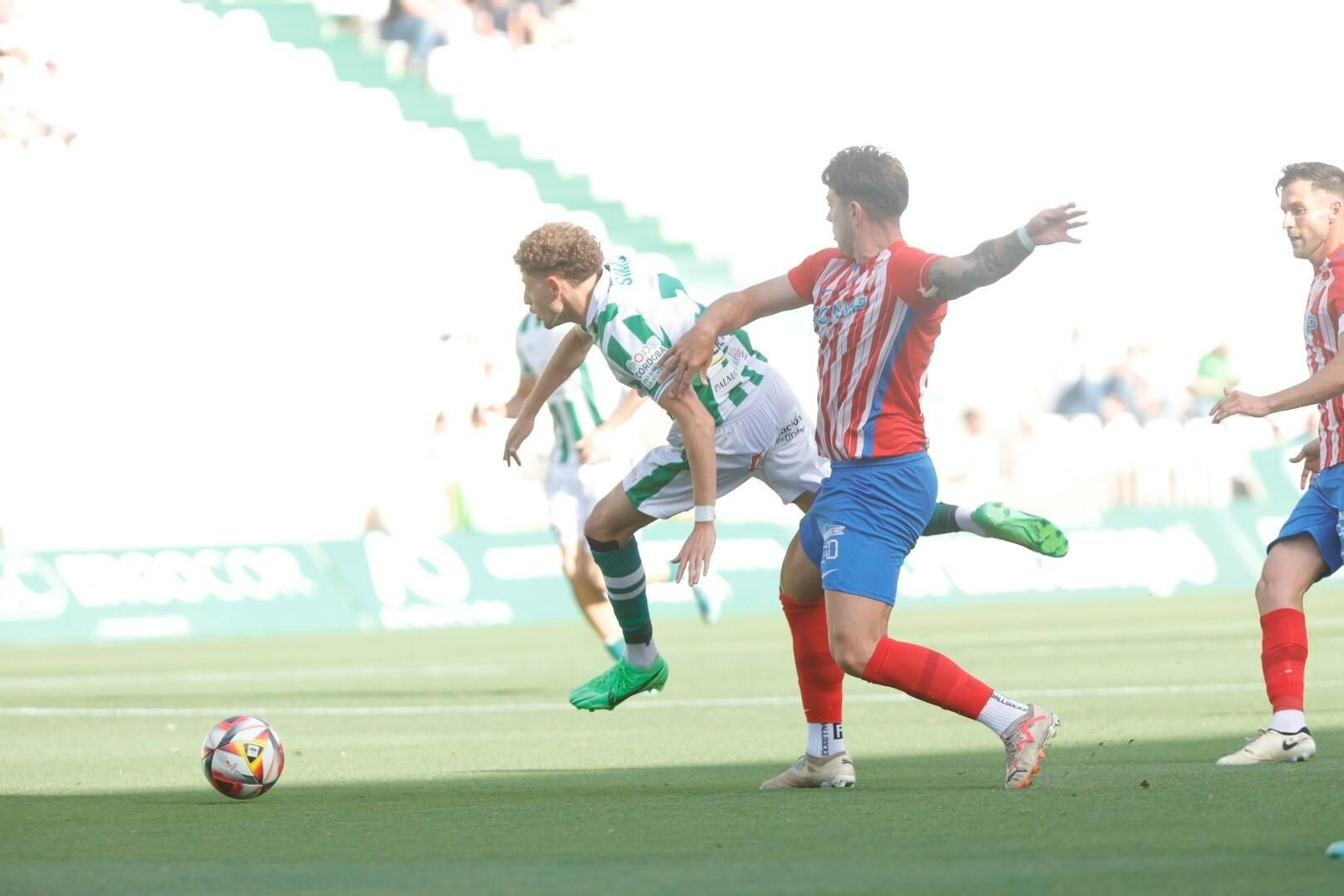 Las mejores fotos del ambiente en El Arcángel para el Córdoba CF - Algeciras