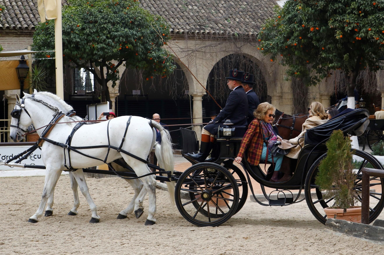 La exhibición de enganches en Caballerizas Reales de Córdoba, en imágenes