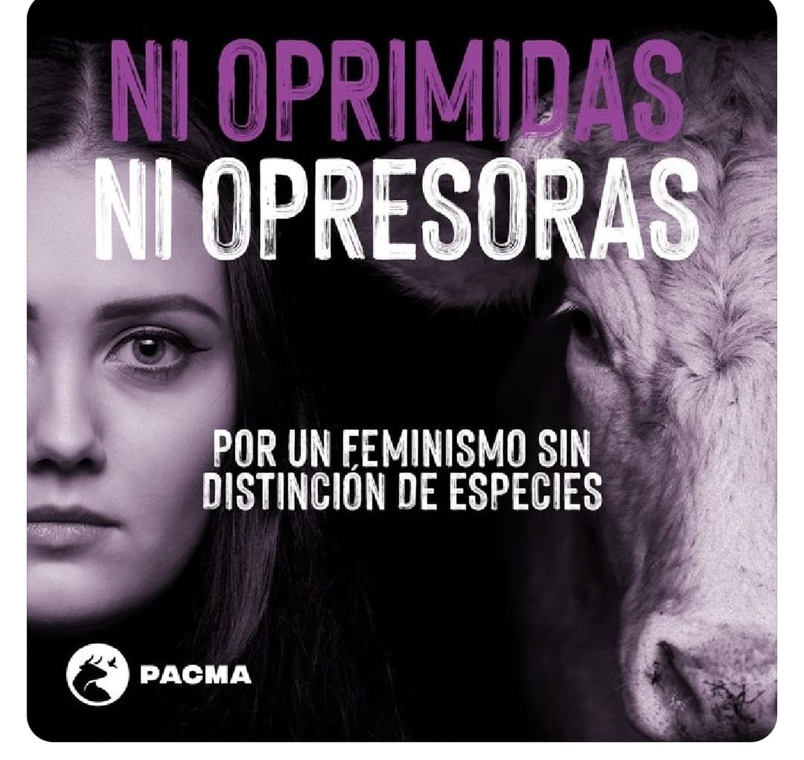 No cabe un tonto más