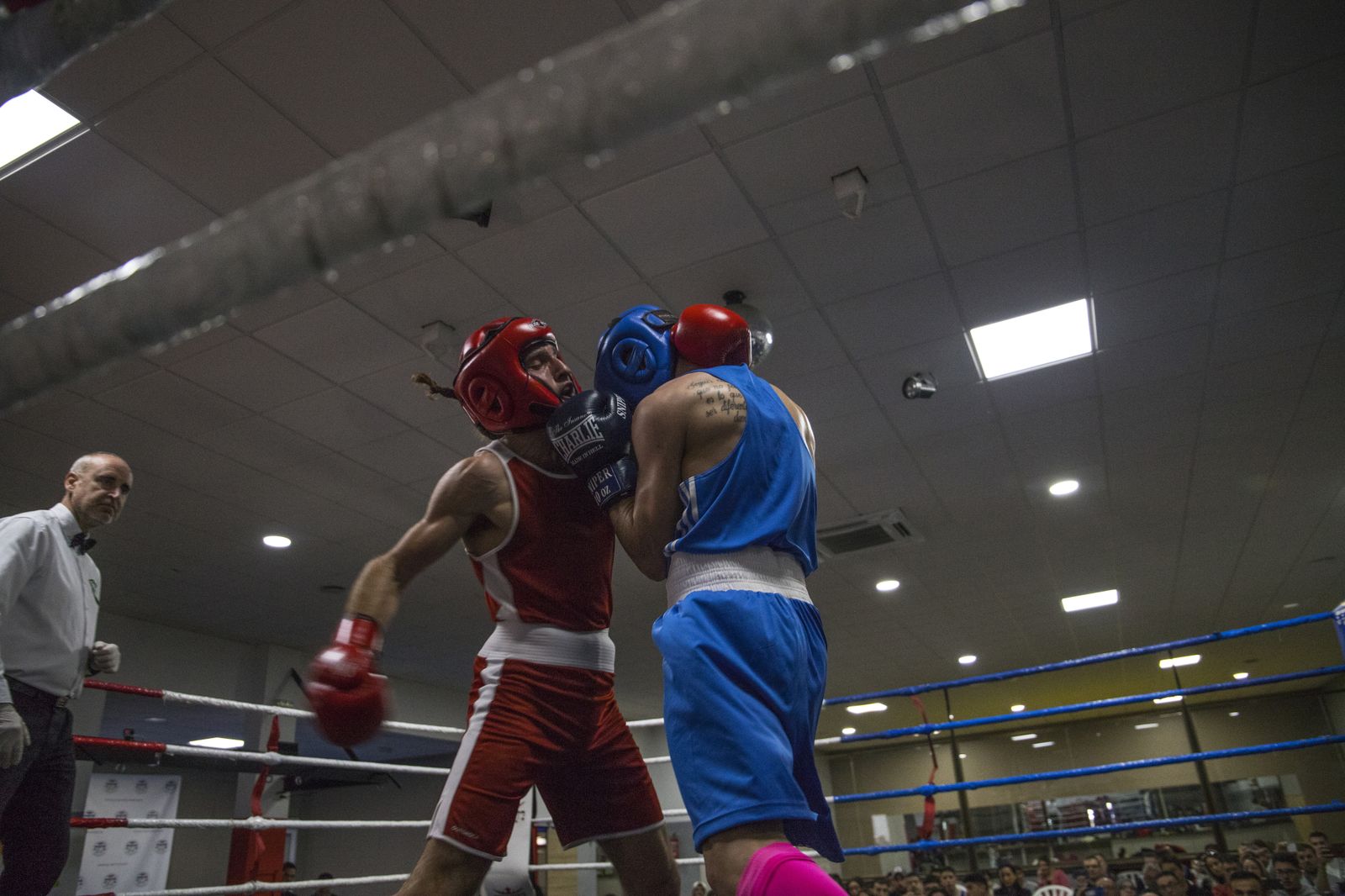 La cantera del boxeo granadino se luce en Armilla