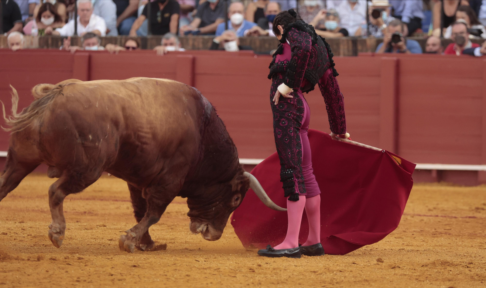 Las imágenes del triunfo de Morante en San Miguel