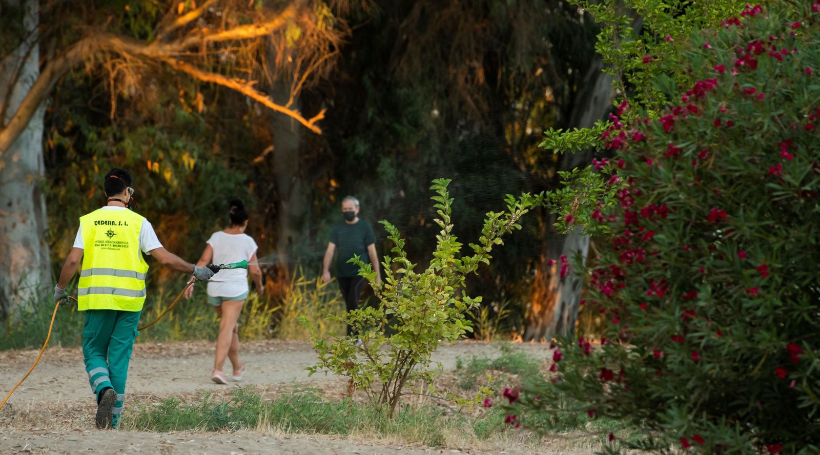 Fumigación de un sendero contra el virus del Nilo, en imagen de archivo.